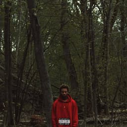 Release Cover Night Lovell - Red Teenage Melody
