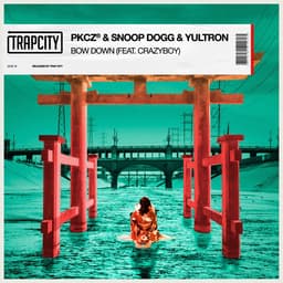 Release Cover PKCZ(R), Snoop Dogg, YULTRON - BOW DOWN (feat. CRAZYBOY)