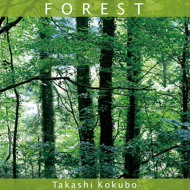 Release Cover Takashi Kokubo - Forest